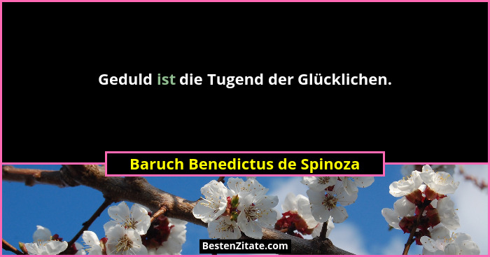 Geduld ist die Tugend der Glücklichen.... - Baruch Benedictus de Spinoza