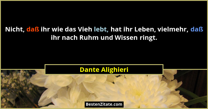 Nicht, daß ihr wie das Vieh lebt, hat ihr Leben, vielmehr, daß ihr nach Ruhm und Wissen ringt.... - Dante Alighieri