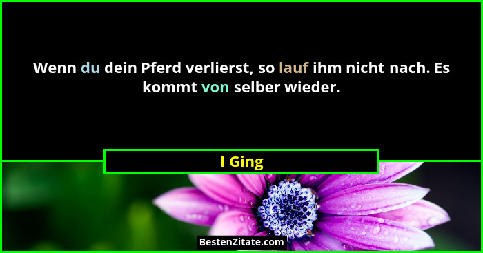 Wenn du dein Pferd verlierst, so lauf ihm nicht nach. Es kommt von selber wieder.... - I Ging