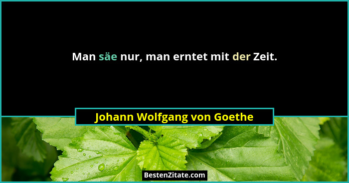 Man säe nur, man erntet mit der Zeit.... - Johann Wolfgang von Goethe