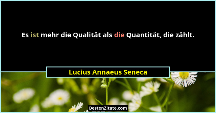 Es ist mehr die Qualität als die Quantität, die zählt.... - Lucius Annaeus Seneca
