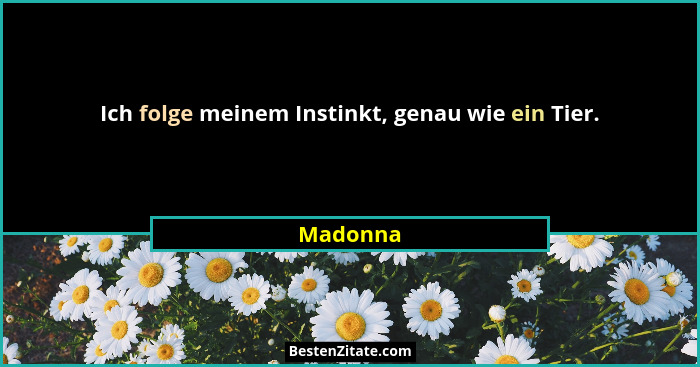 Ich folge meinem Instinkt, genau wie ein Tier.... - Madonna