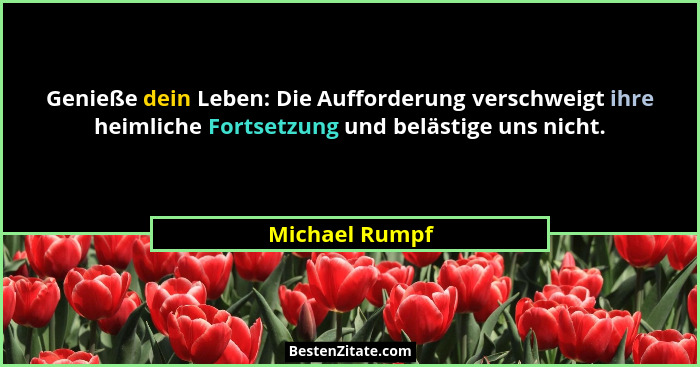 Genieße dein Leben: Die Aufforderung verschweigt ihre heimliche Fortsetzung und belästige uns nicht.... - Michael Rumpf
