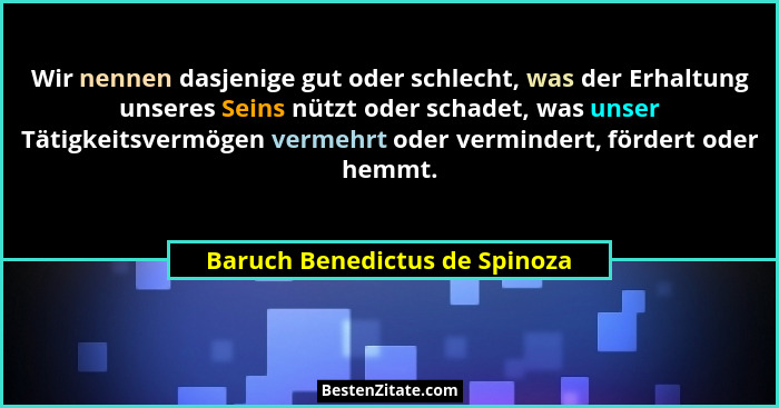 Wir nennen dasjenige gut oder schlecht, was der Erhaltung unseres Seins nützt oder schadet, was unser Tätigkeitsvermöge... - Baruch Benedictus de Spinoza