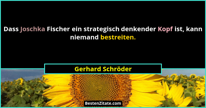 Dass Joschka Fischer ein strategisch denkender Kopf ist, kann niemand bestreiten.... - Gerhard Schröder