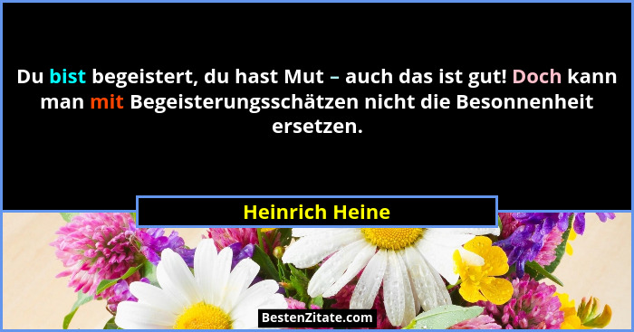 Du bist begeistert, du hast Mut – auch das ist gut! Doch kann man mit Begeisterungsschätzen nicht die Besonnenheit ersetzen.... - Heinrich Heine