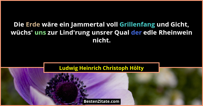 Die Erde wäre ein Jammertal voll Grillenfang und Gicht, wüchs' uns zur Lind'rung unsrer Qual der edle Rheinw... - Ludwig Heinrich Christoph Hölty