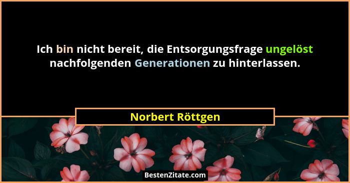 Ich bin nicht bereit, die Entsorgungsfrage ungelöst nachfolgenden Generationen zu hinterlassen.... - Norbert Röttgen
