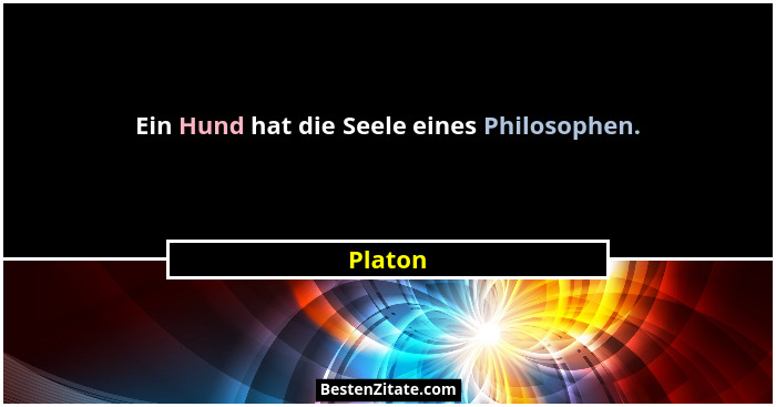 Ein Hund hat die Seele eines Philosophen.... - Platon