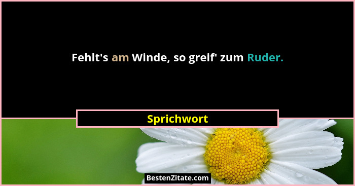 Fehlt's am Winde, so greif' zum Ruder.... - Sprichwort