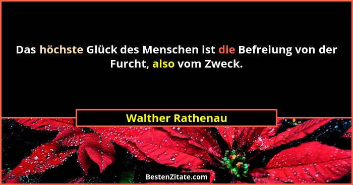 Das höchste Glück des Menschen ist die Befreiung von der Furcht, also vom Zweck.... - Walther Rathenau