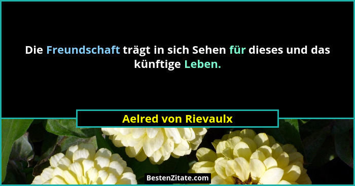 Die Freundschaft trägt in sich Sehen für dieses und das künftige Leben.... - Aelred von Rievaulx