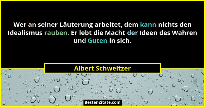 Wer an seiner Läuterung arbeitet, dem kann nichts den Idealismus rauben. Er lebt die Macht der Ideen des Wahren und Guten in sich.... - Albert Schweitzer