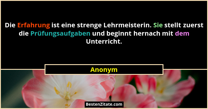 Die Erfahrung ist eine strenge Lehrmeisterin. Sie stellt zuerst die Prüfungsaufgaben und beginnt hernach mit dem Unterricht.... - Anonym