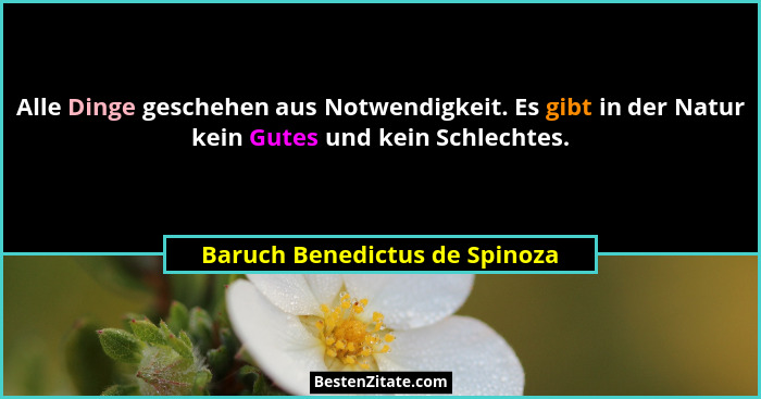 Alle Dinge geschehen aus Notwendigkeit. Es gibt in der Natur kein Gutes und kein Schlechtes.... - Baruch Benedictus de Spinoza