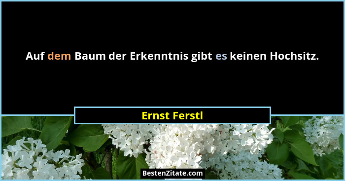 Auf dem Baum der Erkenntnis gibt es keinen Hochsitz.... - Ernst Ferstl