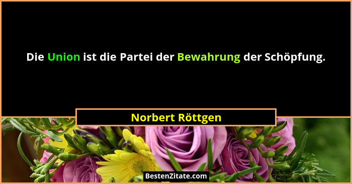 Die Union ist die Partei der Bewahrung der Schöpfung.... - Norbert Röttgen