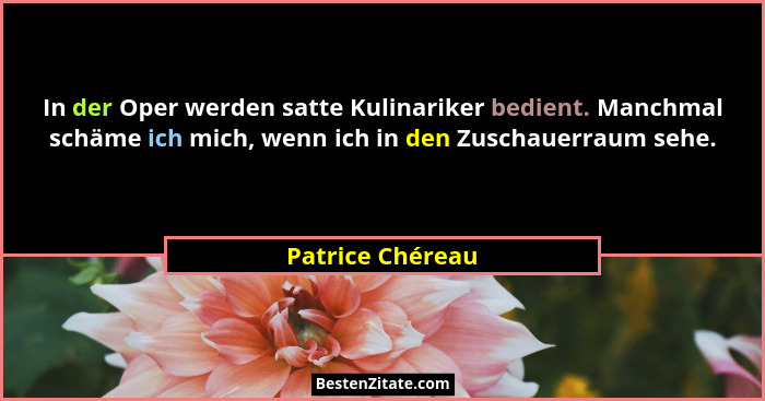 In der Oper werden satte Kulinariker bedient. Manchmal schäme ich mich, wenn ich in den Zuschauerraum sehe.... - Patrice Chéreau