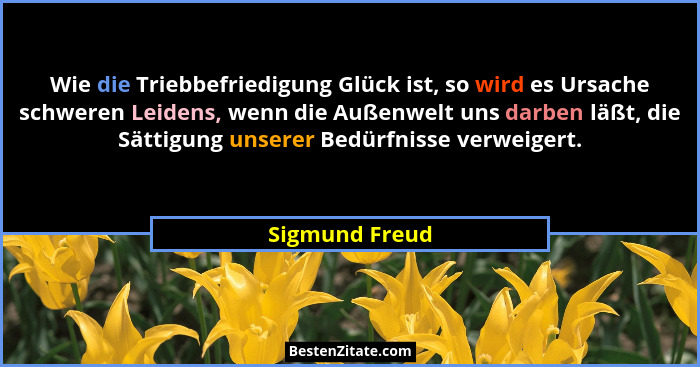 Wie die Triebbefriedigung Glück ist, so wird es Ursache schweren Leidens, wenn die Außenwelt uns darben läßt, die Sättigung unserer Be... - Sigmund Freud