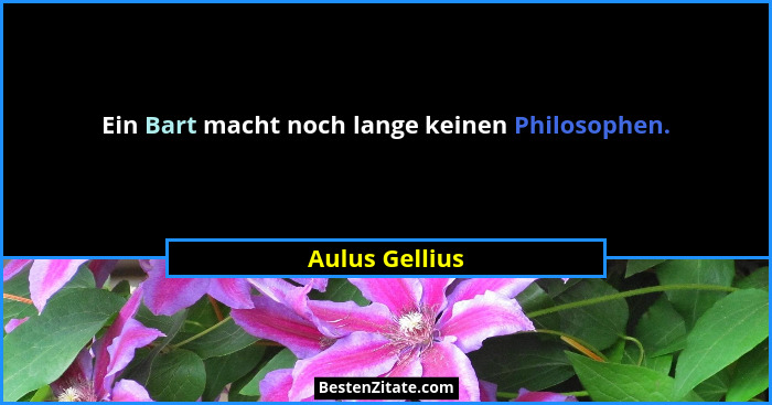 Ein Bart macht noch lange keinen Philosophen.... - Aulus Gellius