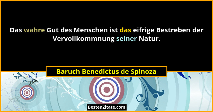 Das wahre Gut des Menschen ist das eifrige Bestreben der Vervollkommnung seiner Natur.... - Baruch Benedictus de Spinoza
