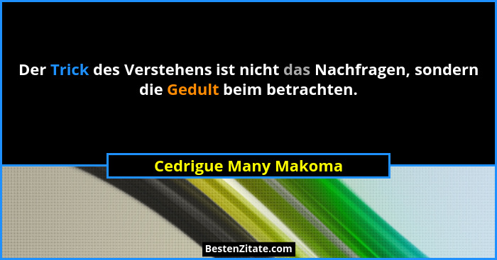 Der Trick des Verstehens ist nicht das Nachfragen, sondern die Gedult beim betrachten.... - Cedrigue Many Makoma