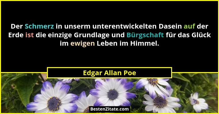 Der Schmerz in unserm unterentwickelten Dasein auf der Erde ist die einzige Grundlage und Bürgschaft für das Glück im ewigen Leben i... - Edgar Allan Poe