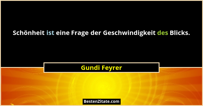 Schönheit ist eine Frage der Geschwindigkeit des Blicks.... - Gundi Feyrer