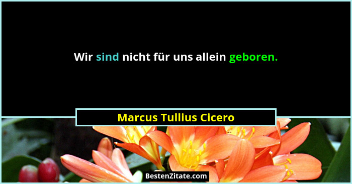 Wir sind nicht für uns allein geboren.... - Marcus Tullius Cicero