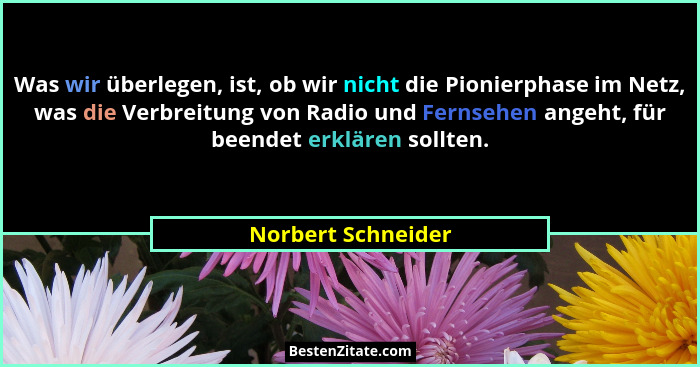 Was wir überlegen, ist, ob wir nicht die Pionierphase im Netz, was die Verbreitung von Radio und Fernsehen angeht, für beendet erk... - Norbert Schneider
