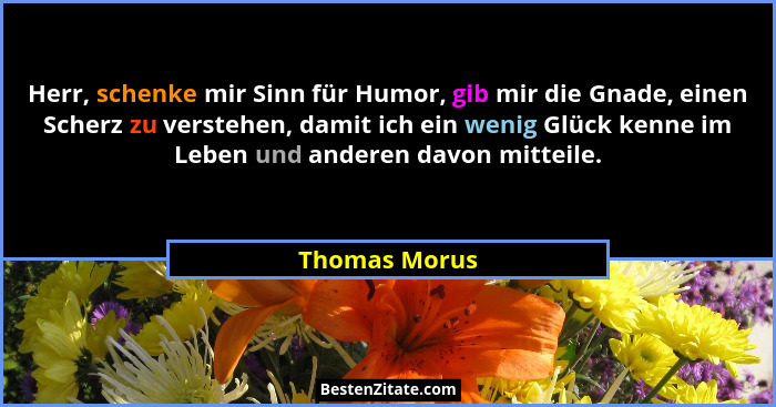 Herr, schenke mir Sinn für Humor, gib mir die Gnade, einen Scherz zu verstehen, damit ich ein wenig Glück kenne im Leben und anderen da... - Thomas Morus