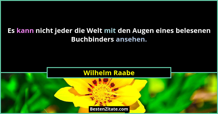 Es kann nicht jeder die Welt mit den Augen eines belesenen Buchbinders ansehen.... - Wilhelm Raabe