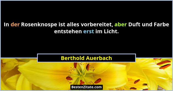 In der Rosenknospe ist alles vorbereitet, aber Duft und Farbe entstehen erst im Licht.... - Berthold Auerbach