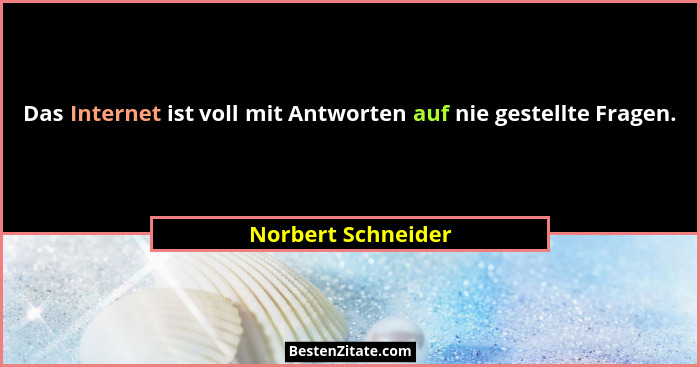 Das Internet ist voll mit Antworten auf nie gestellte Fragen.... - Norbert Schneider