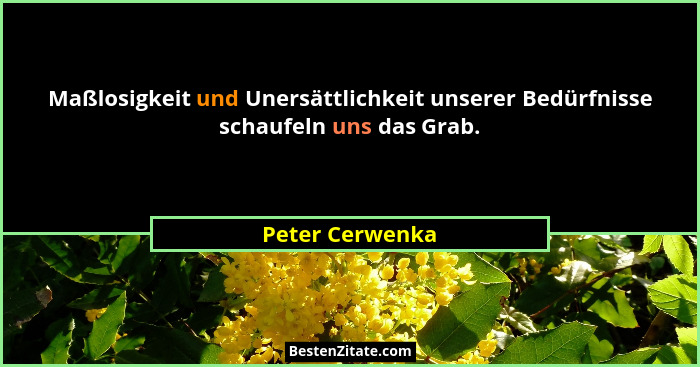 Maßlosigkeit und Unersättlichkeit unserer Bedürfnisse schaufeln uns das Grab.... - Peter Cerwenka