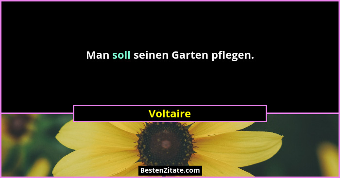 Man soll seinen Garten pflegen.... - Voltaire