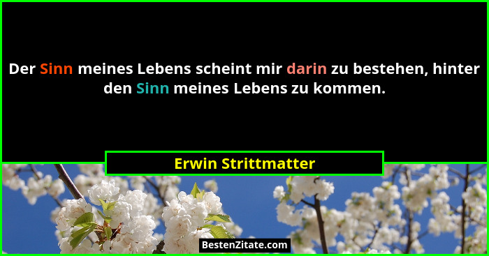 Der Sinn meines Lebens scheint mir darin zu bestehen, hinter den Sinn meines Lebens zu kommen.... - Erwin Strittmatter
