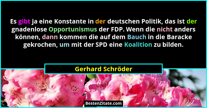 Es gibt ja eine Konstante in der deutschen Politik, das ist der gnadenlose Opportunismus der FDP. Wenn die nicht anders können, dan... - Gerhard Schröder
