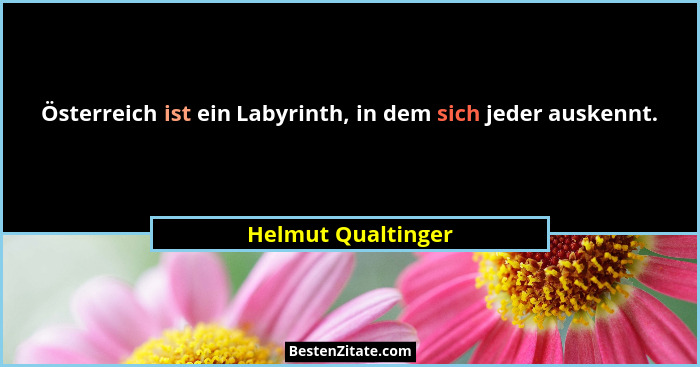Österreich ist ein Labyrinth, in dem sich jeder auskennt.... - Helmut Qualtinger