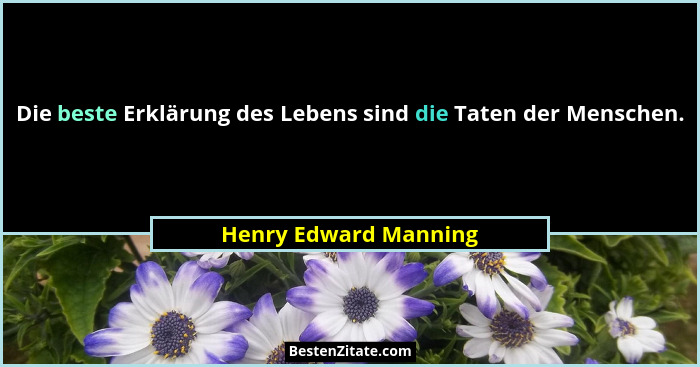 Die beste Erklärung des Lebens sind die Taten der Menschen.... - Henry Edward Manning