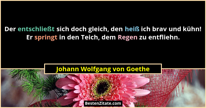 Der entschließt sich doch gleich, den heiß ich brav und kühn! Er springt in den Teich, dem Regen zu entfliehn.... - Johann Wolfgang von Goethe