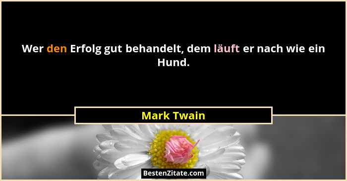 Wer den Erfolg gut behandelt, dem läuft er nach wie ein Hund.... - Mark Twain