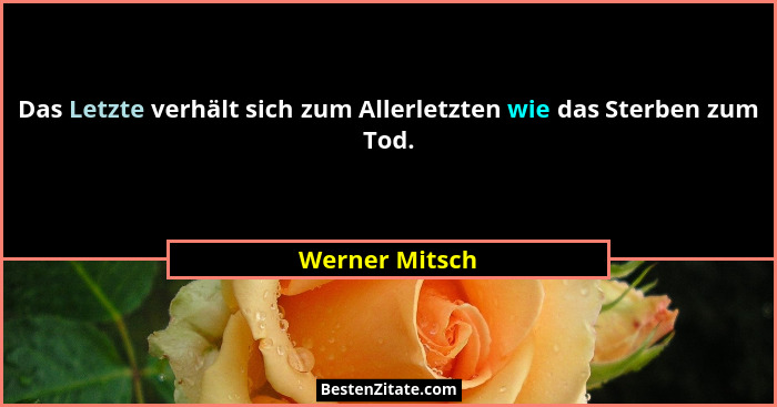 Das Letzte verhält sich zum Allerletzten wie das Sterben zum Tod.... - Werner Mitsch