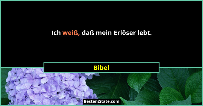 Ich weiß, daß mein Erlöser lebt.... - Bibel