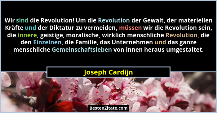 Wir sind die Revolution! Um die Revolution der Gewalt, der materiellen Kräfte und der Diktatur zu vermeiden, müssen wir die Revolutio... - Joseph Cardijn