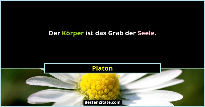 Der Körper ist das Grab der Seele.... - Platon