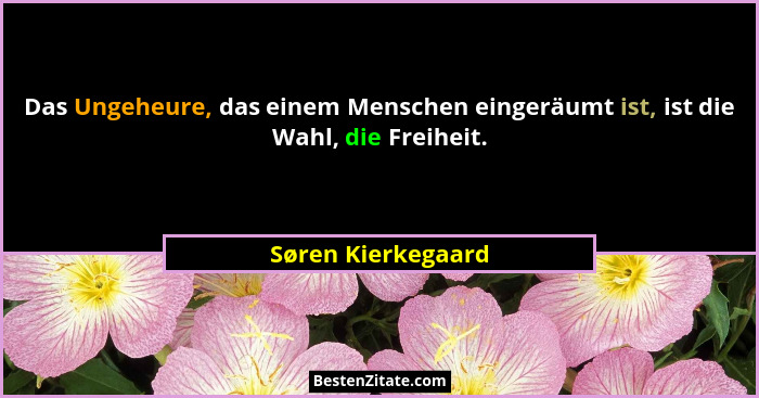 Das Ungeheure, das einem Menschen eingeräumt ist, ist die Wahl, die Freiheit.... - Søren Kierkegaard