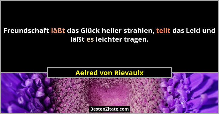 Freundschaft läßt das Glück heller strahlen, teilt das Leid und läßt es leichter tragen.... - Aelred von Rievaulx