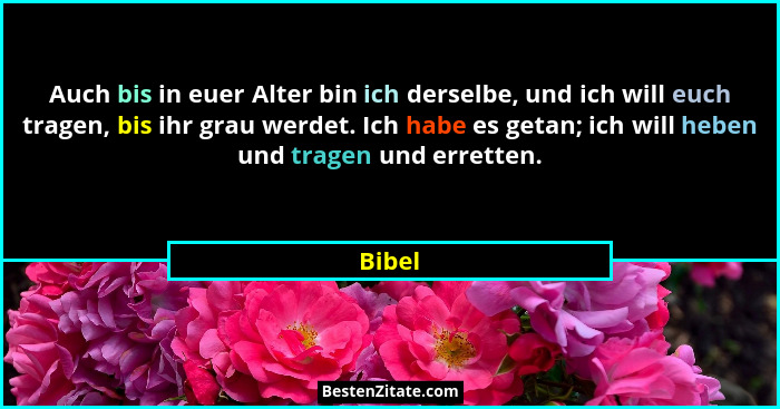 Auch bis in euer Alter bin ich derselbe, und ich will euch tragen, bis ihr grau werdet. Ich habe es getan; ich will heben und tragen und erret... - Bibel