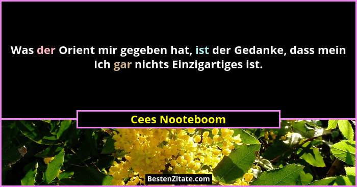 Was der Orient mir gegeben hat, ist der Gedanke, dass mein Ich gar nichts Einzigartiges ist.... - Cees Nooteboom